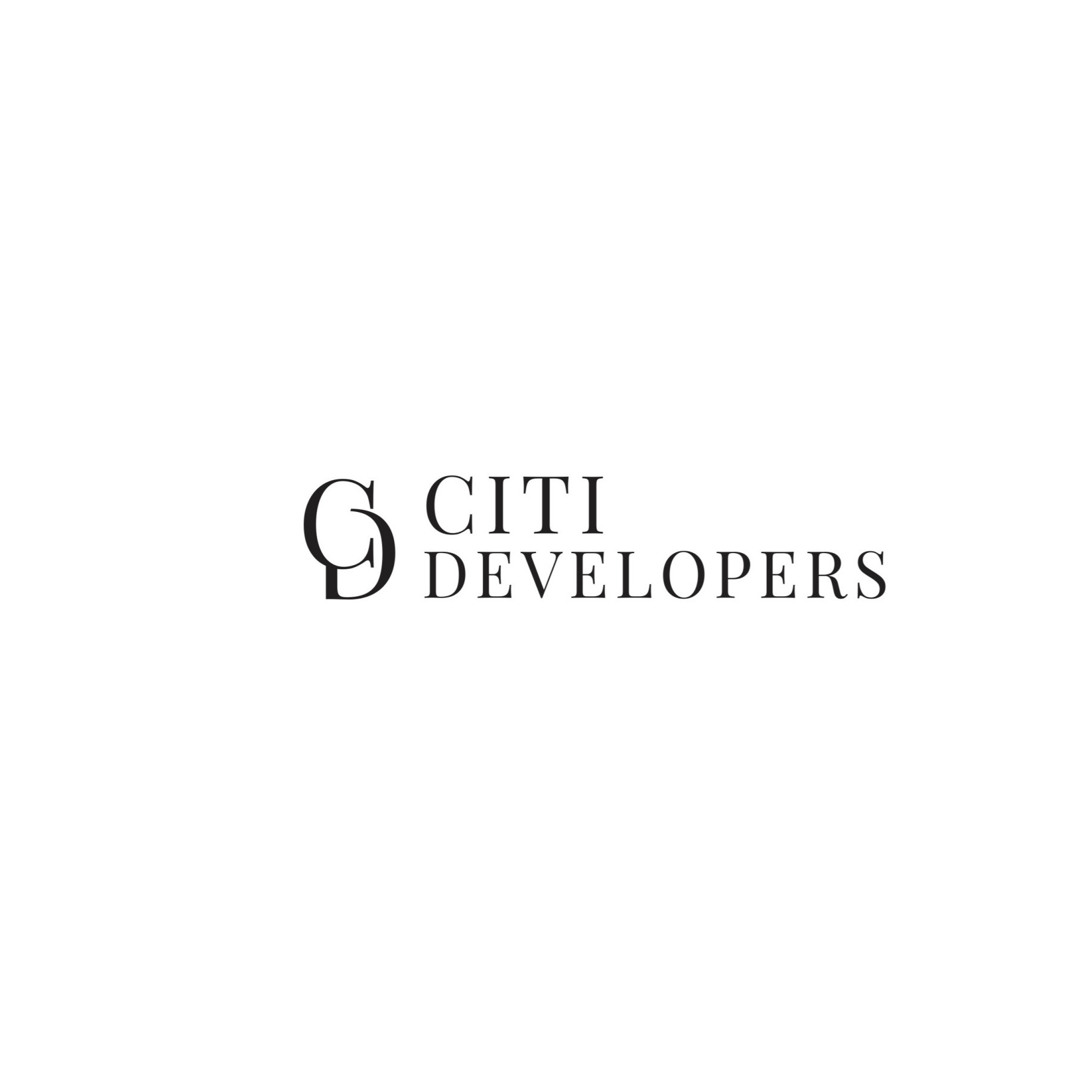 developer